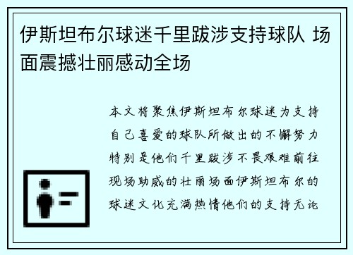 伊斯坦布尔球迷千里跋涉支持球队 场面震撼壮丽感动全场