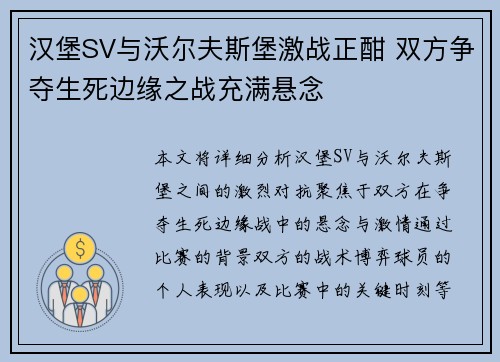 汉堡SV与沃尔夫斯堡激战正酣 双方争夺生死边缘之战充满悬念